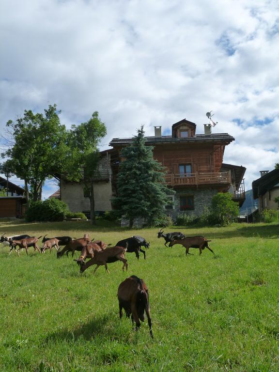 Agriturismo Barba Gust Cesana Torinese Dış mekan fotoğraf