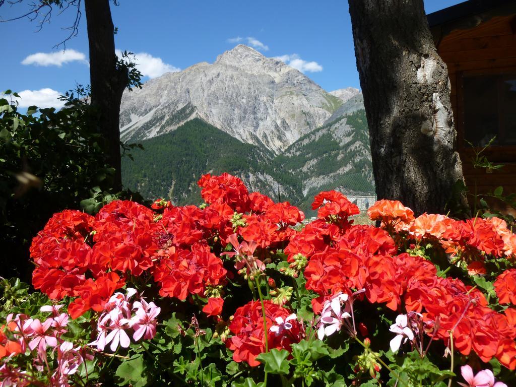 Agriturismo Barba Gust Cesana Torinese Dış mekan fotoğraf