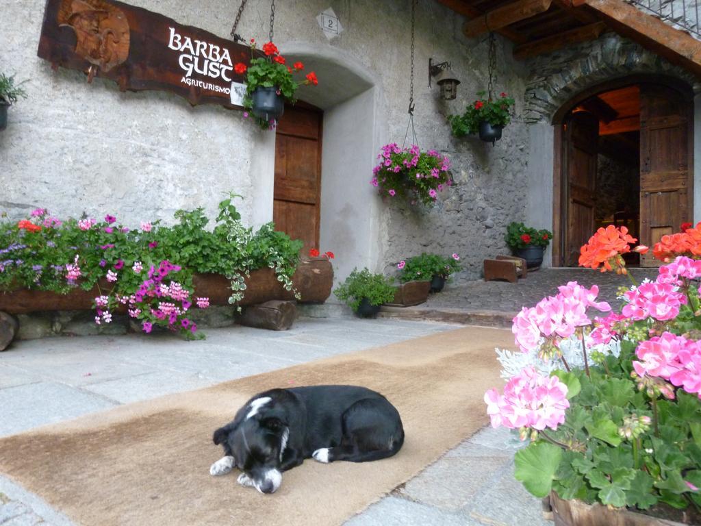Agriturismo Barba Gust Cesana Torinese Dış mekan fotoğraf